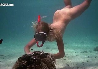 Stripped Celebrities - Hollowed-out Scenes
